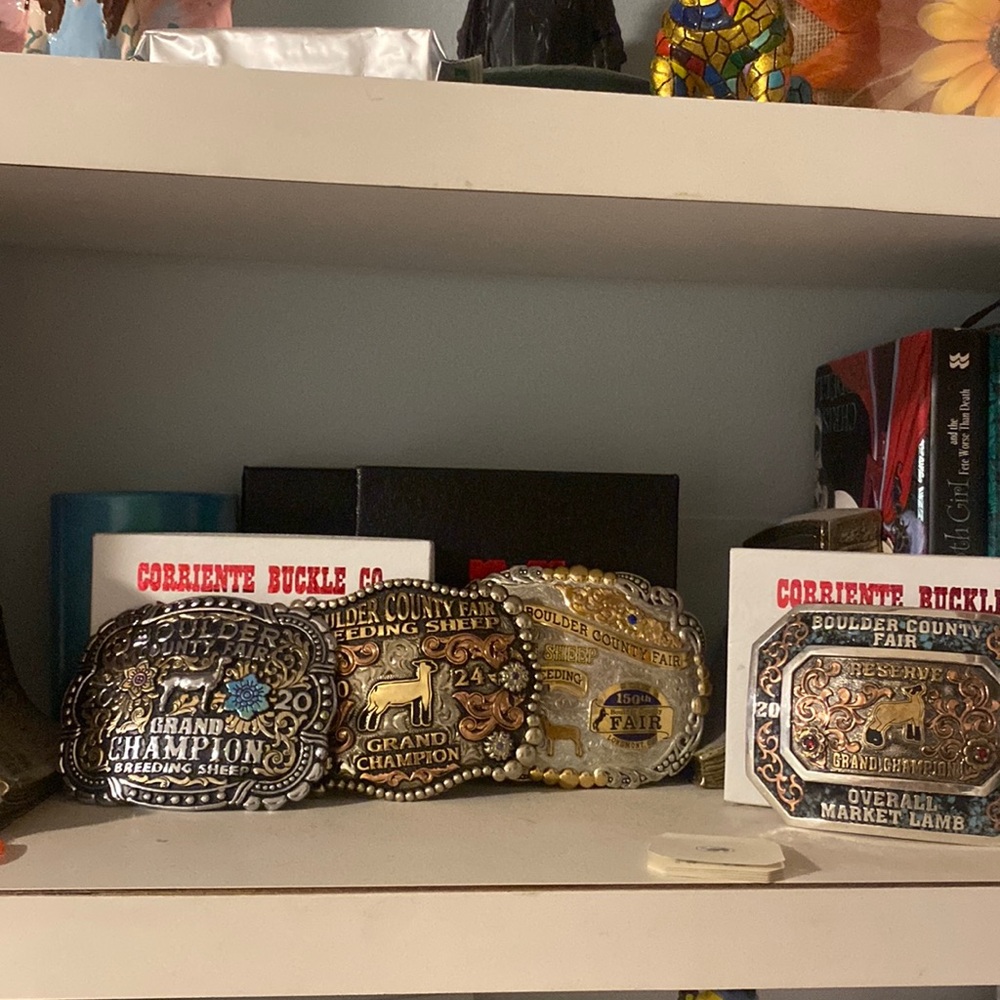 My sheep showing belt buckles I won